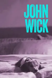 Poster to the movie "John Wick" #51574