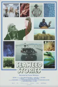 Poster to the movie "Seaweed Stories" #579561