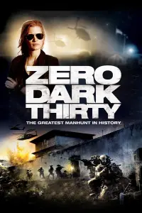 Poster to the movie "Zero Dark Thirty" #248598