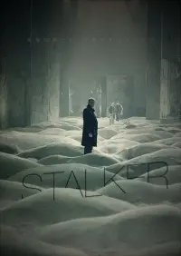 Poster to the movie "Stalker" #159920