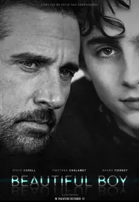 Poster to the movie "Beautiful Boy" #98539