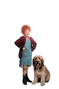 Poster to the movie "Annie" #284074