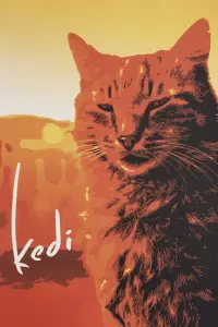 Poster to the movie "Kedi" #705001