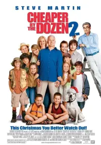 Poster to the movie "Cheaper by the Dozen 2" #85304