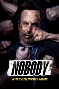 Poster to the movie "Nobody" #35855