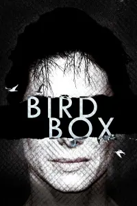 Poster to the movie "Bird Box" #65569