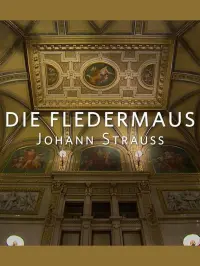 Die Fledermaus