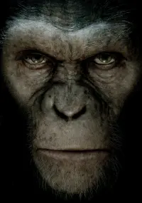 Poster to the movie "Rise of the Planet of the Apes" #479073