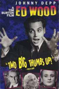 Poster to the movie "Ed Wood" #210989