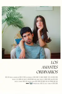 Poster to the movie "The Ordinary Lovers" #555988