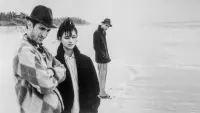 Backdrop to the movie "Stranger Than Paradise" #469300