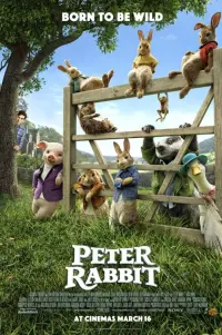 Poster to the movie "Peter Rabbit" #97193