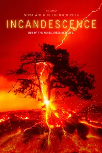 Poster to the movie "Incandescence" #599996