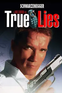 Poster to the movie "True Lies" #242851