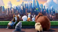 Backdrop to the movie "The Secret Life of Pets" #293684