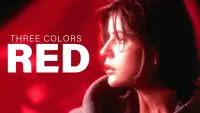 Backdrop to the movie "Three Colors: Red" #93991