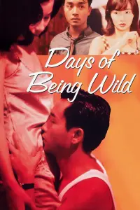 Poster to the movie "Days of Being Wild" #144114