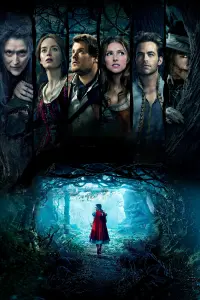 Poster to the movie "Into the Woods" #373896