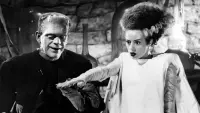 Backdrop to the movie "The Bride of Frankenstein" #211089