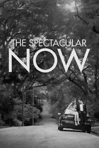 Poster to the movie "The Spectacular Now" #272949