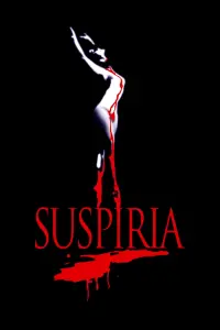 Poster to the movie "Suspiria" #69668