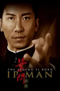 Poster to the movie "The Legend Is Born: Ip Man" #261938