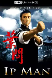 Poster to the movie "Ip Man" #132522