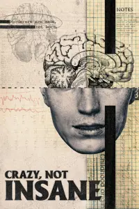 Poster to the movie "Crazy, Not Insane" #143522