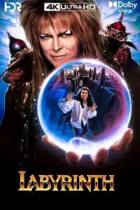 Poster to the movie "Labyrinth" #228204