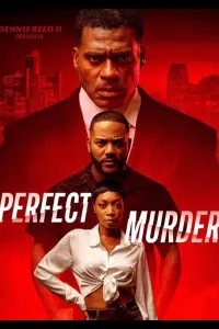 Perfect Murder