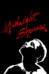 Poster to the movie "Midnight Express" #210273