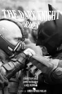 Poster to the movie "The Dark Knight Rises" #542936