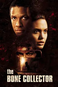 Poster to the movie "The Bone Collector" #115923