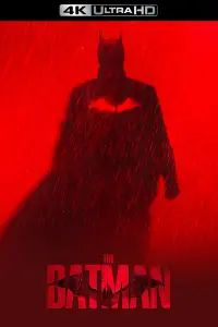 Poster to the movie "The Batman" #10487