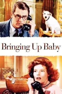 Poster to the movie "Bringing Up Baby" #208948