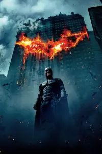 Poster to the movie "The Dark Knight" #167541