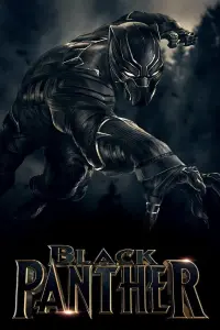 Poster to the movie "Black Panther" #219916