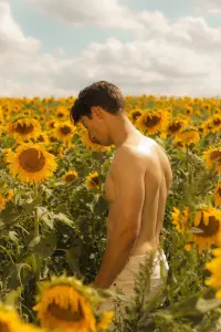 Poster to the movie "Sunflower" #476397