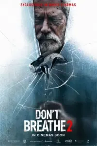 Poster to the movie "Don