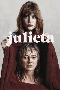 Poster to the movie "Julieta" #490946