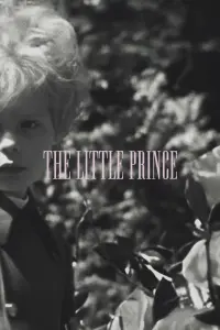 Poster to the movie "The Little Prince" #455696