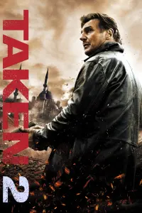 Poster to the movie "Taken 2" #43264