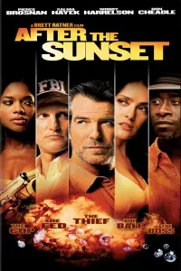 Poster to the movie "After the Sunset" #127957