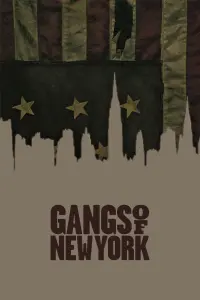 Poster to the movie "Gangs of New York" #224825