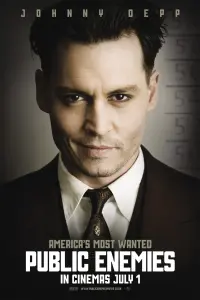 Poster to the movie "Public Enemies" #271252