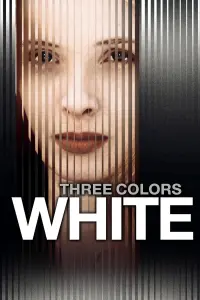 Poster to the movie "Three Colors: White" #99636