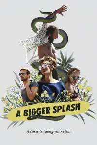 Poster to the movie "A Bigger Splash" #299321