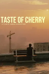 Poster to the movie "Taste of Cherry" #111982