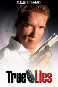 Poster to the movie "True Lies" #242868