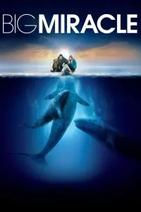 Poster to the movie "Big Miracle" #274993